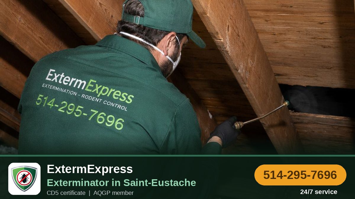 ExtermExpress, exterminator in Saint-Eustache